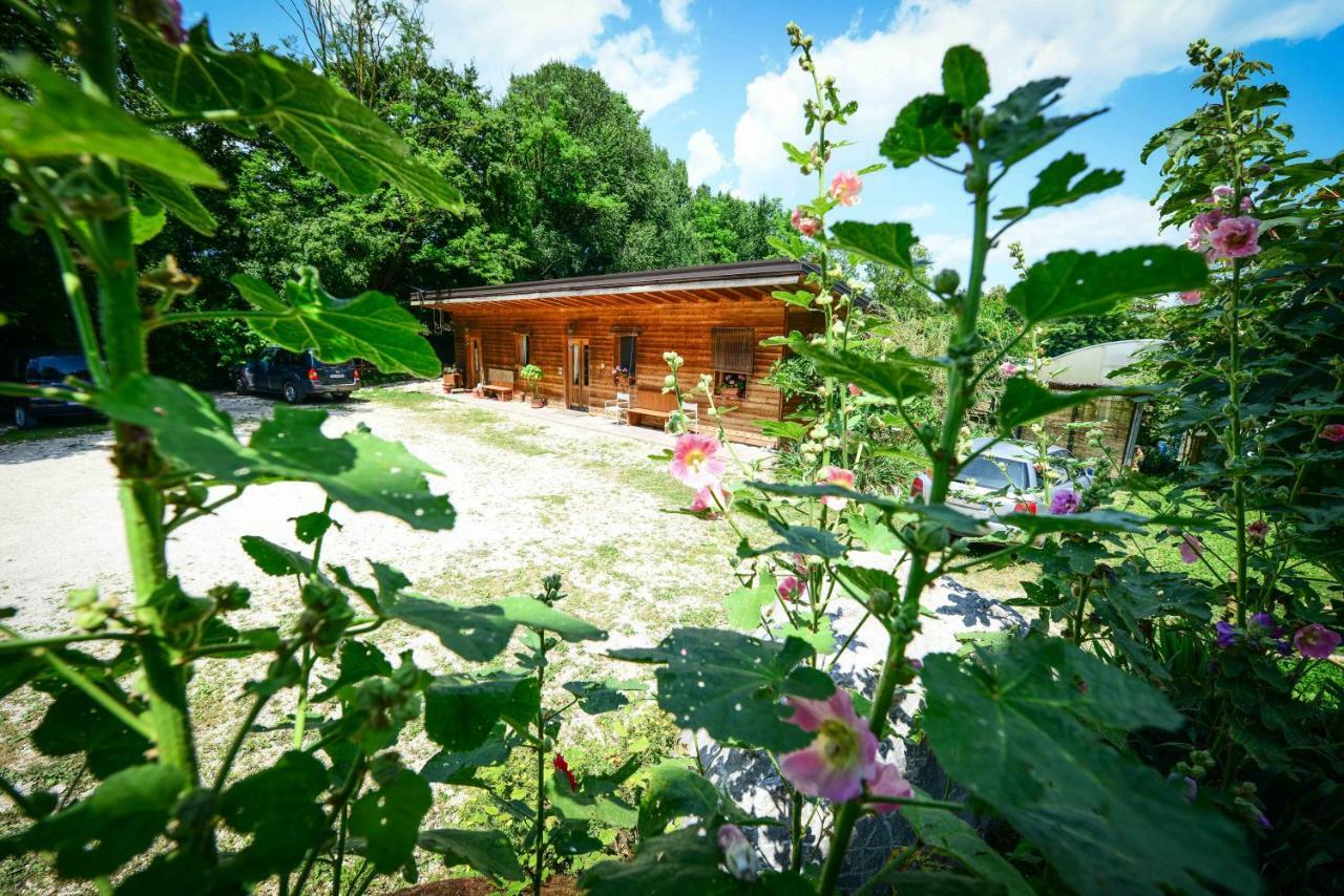 Bioagriturismo Vegan Campo Di Cielo Cesiomaggiore Exterior photo
